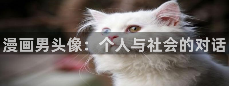 picacg哔咔漫画官网版：漫画男头像：个人与社会的对话